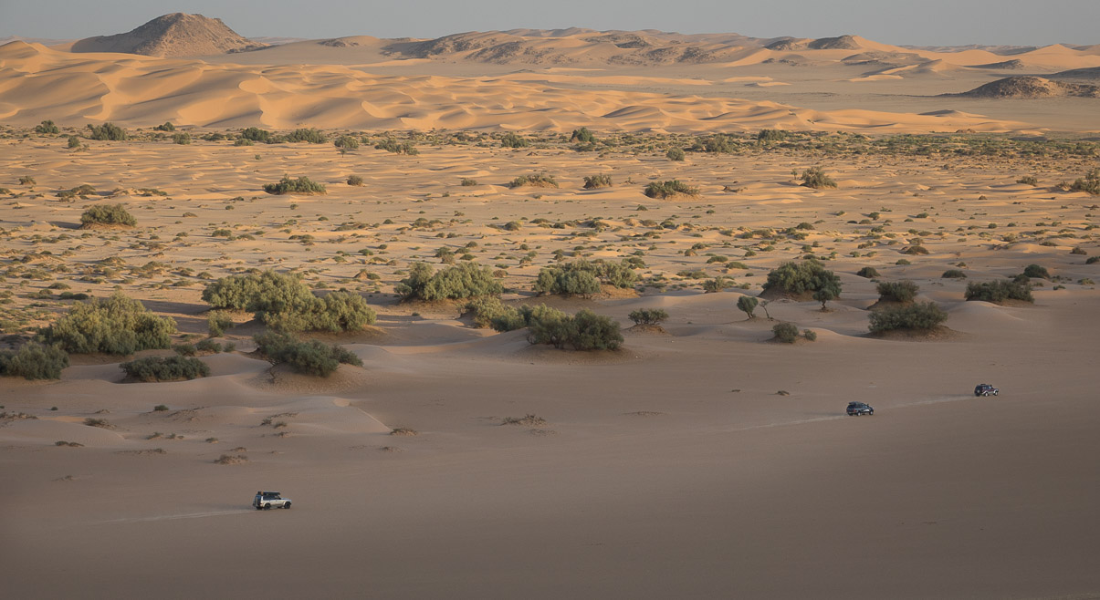 Algerie 2019