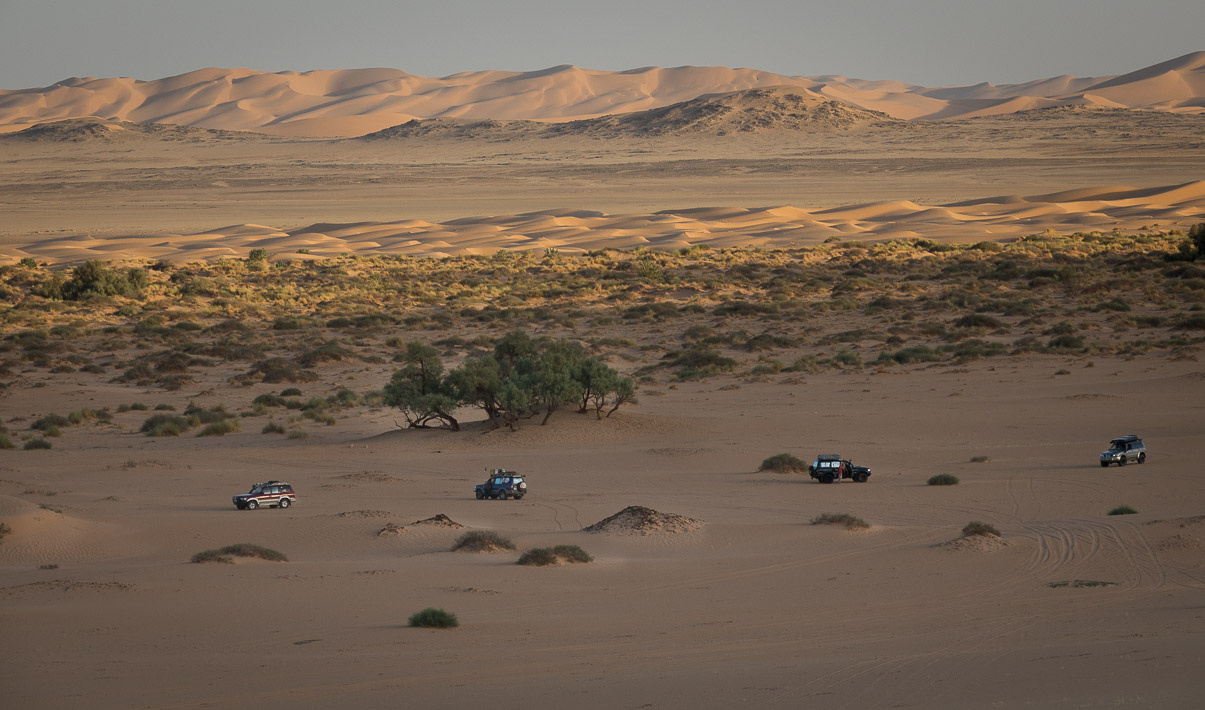 Algerie 2019