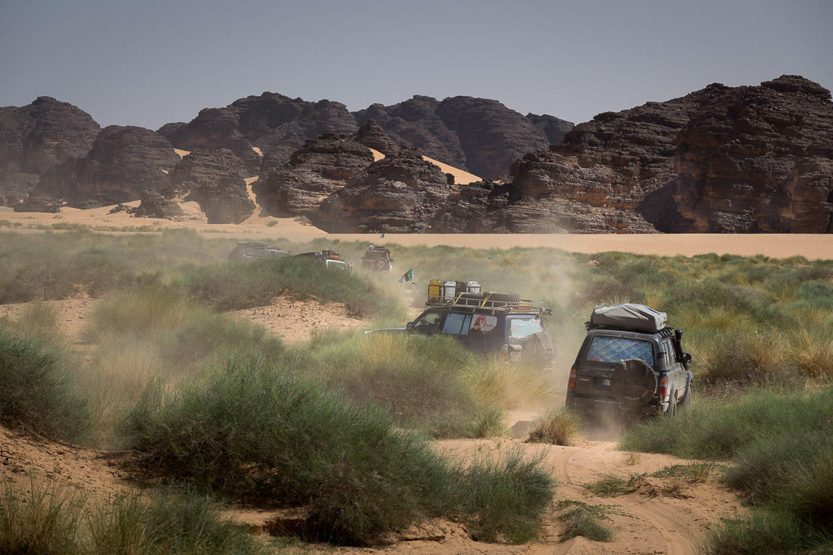 Algerie 2019
