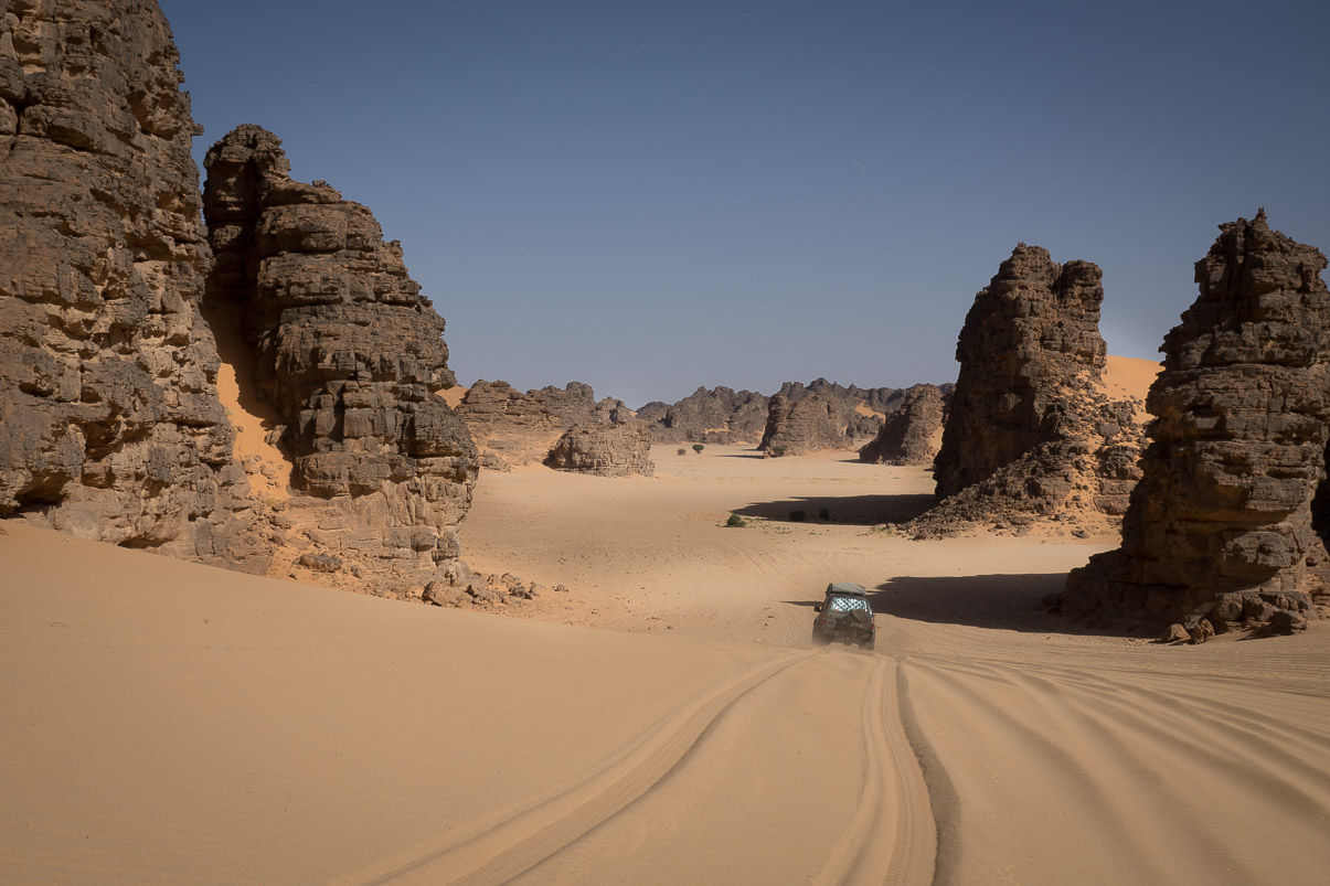 Algerie 2019