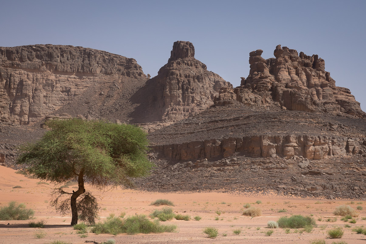 Algerie 2019