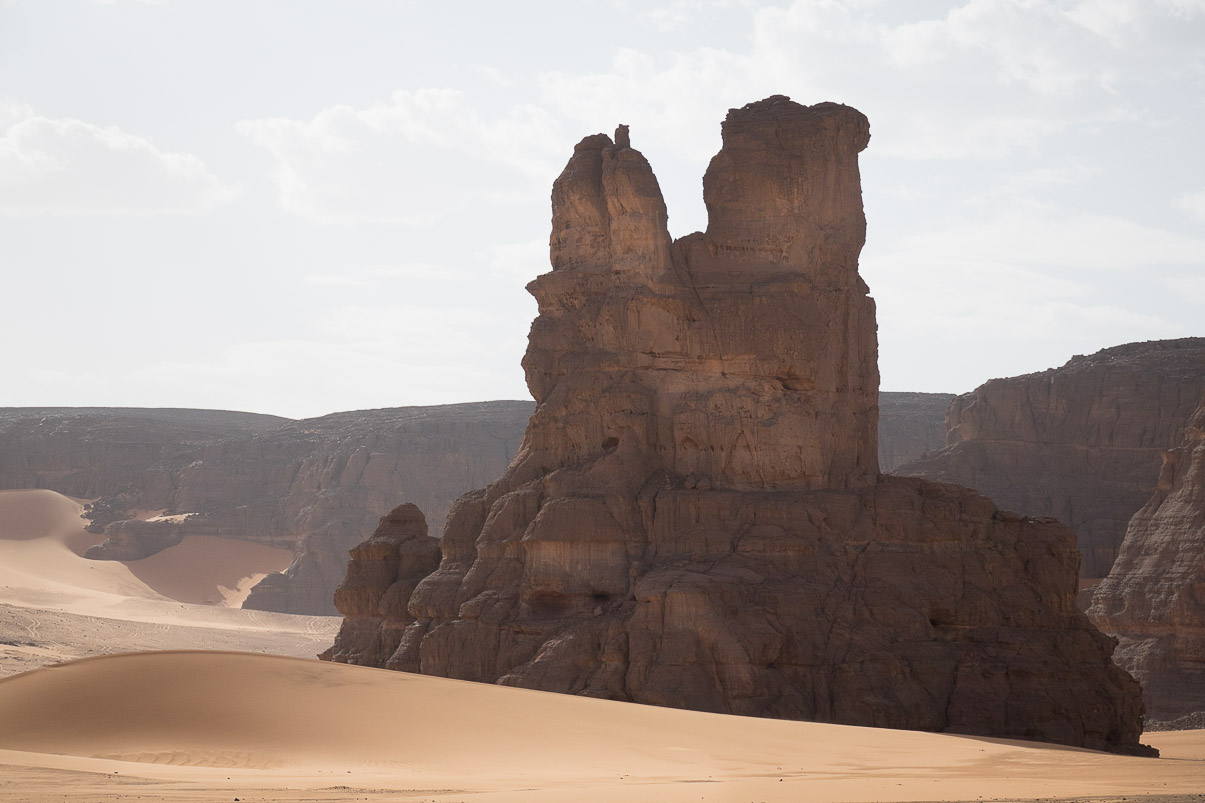 Algerie 2019