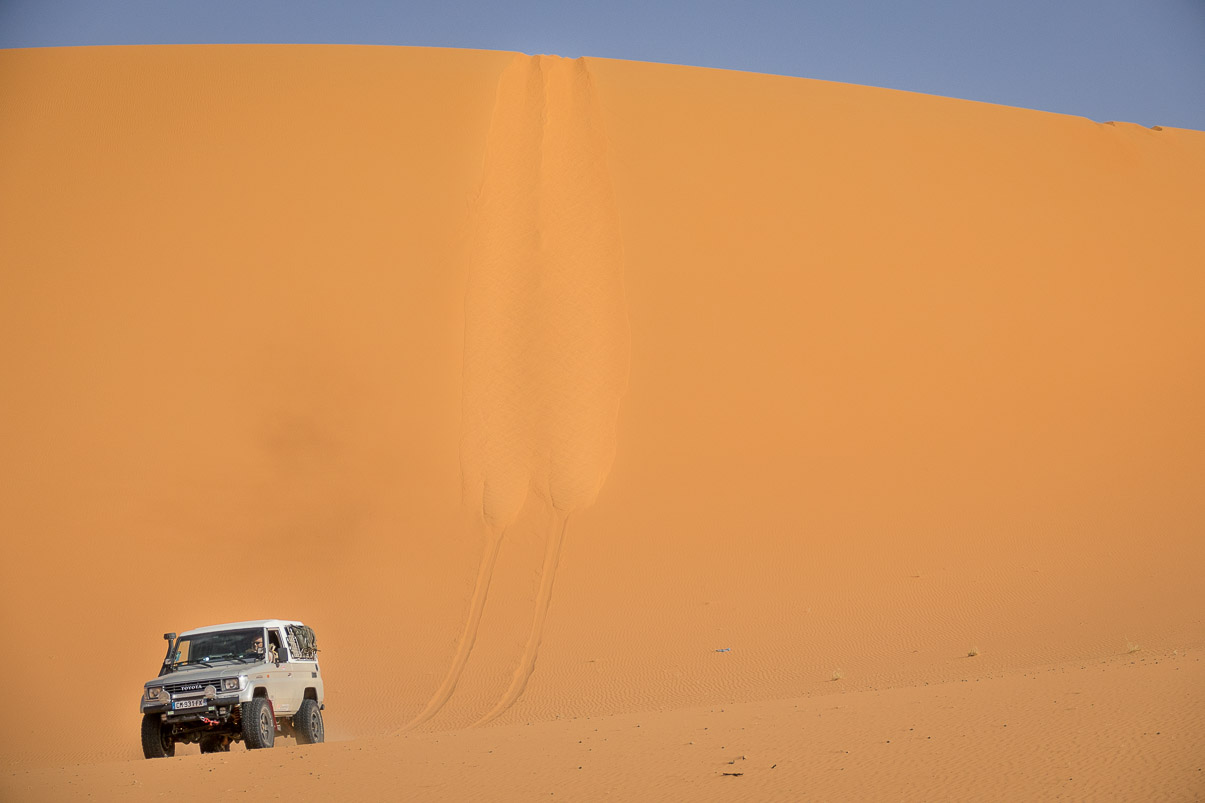 Algerie 2019
