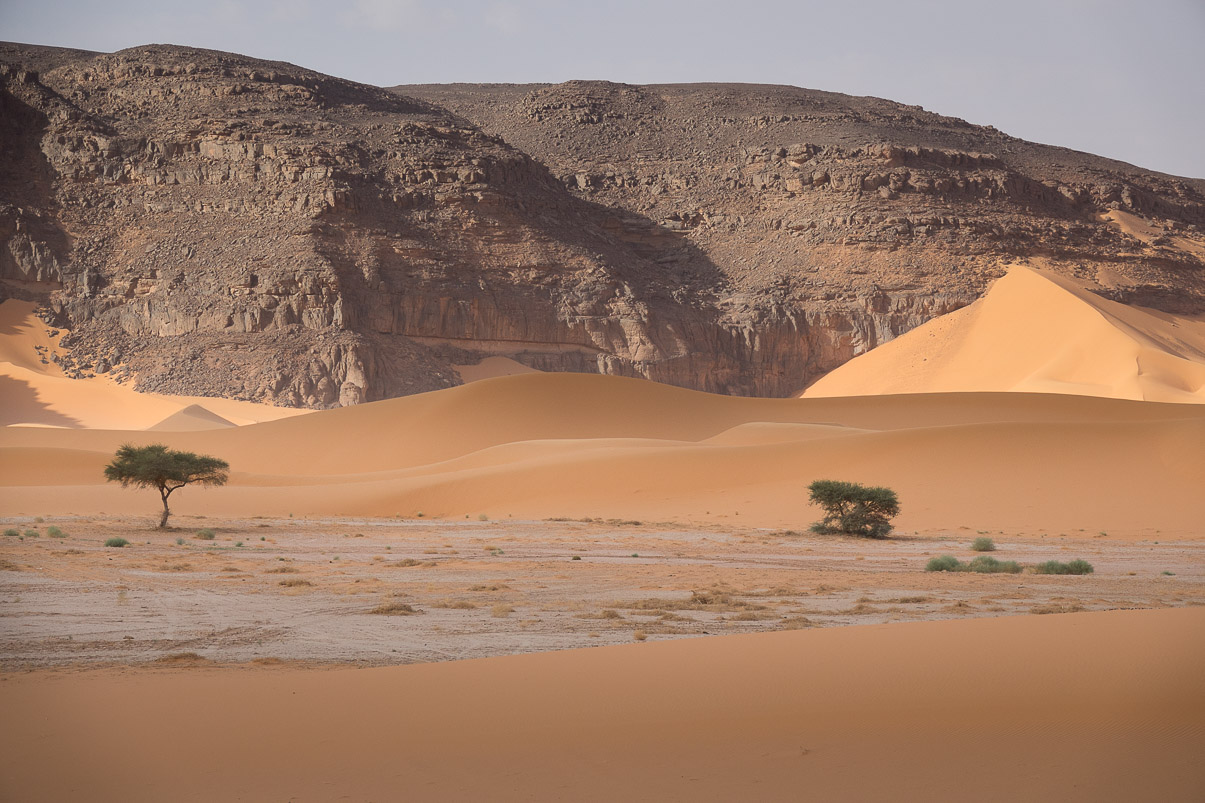Algerie 2019