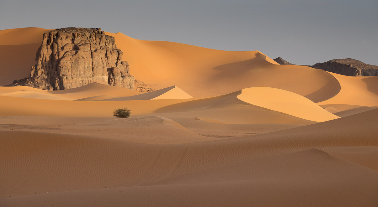 Algerie 2019