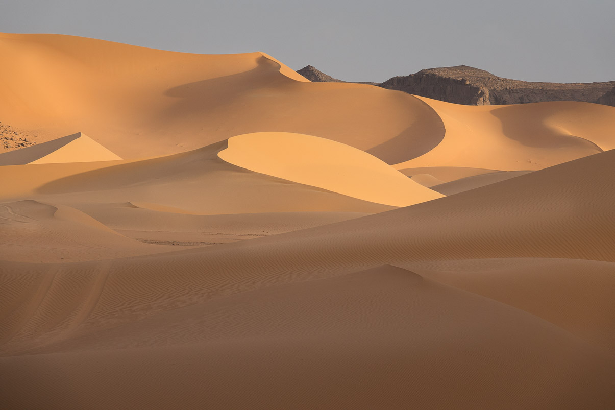 Algerie 2019