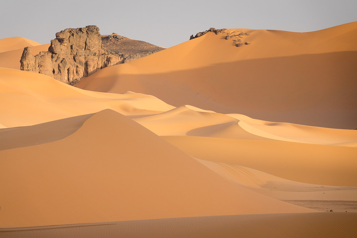 Algerie 2019