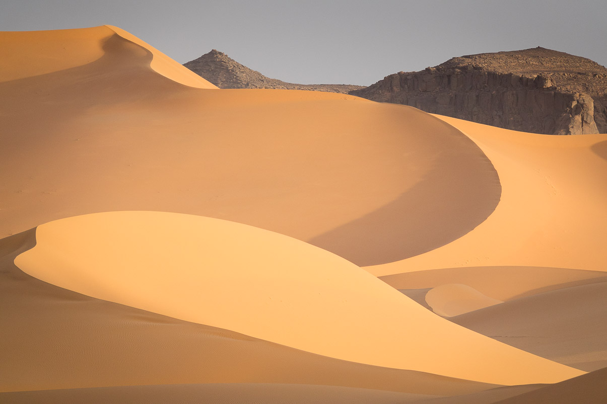 Algerie 2019