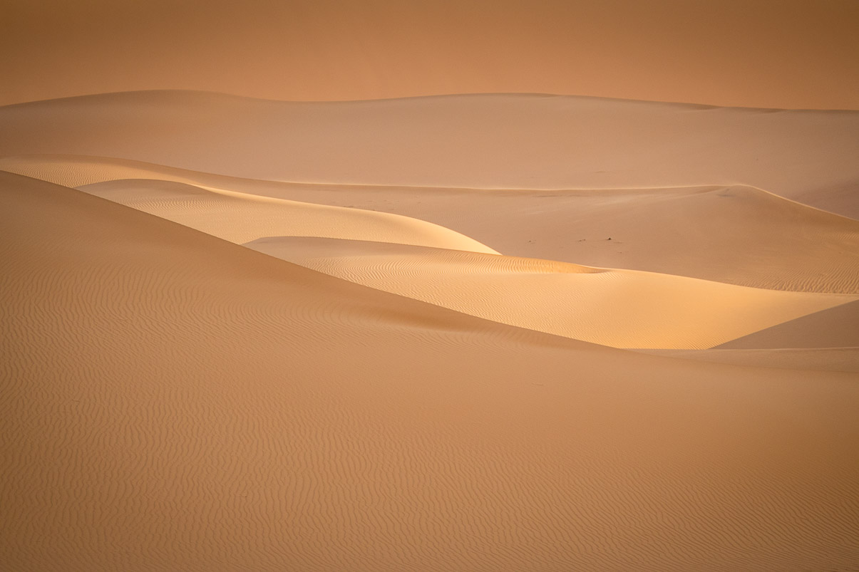 Algerie 2019