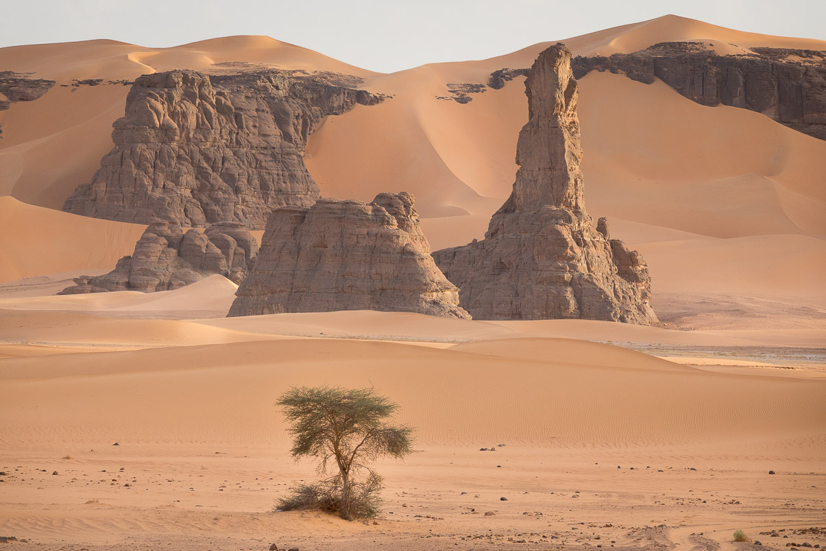 Algerie 2019