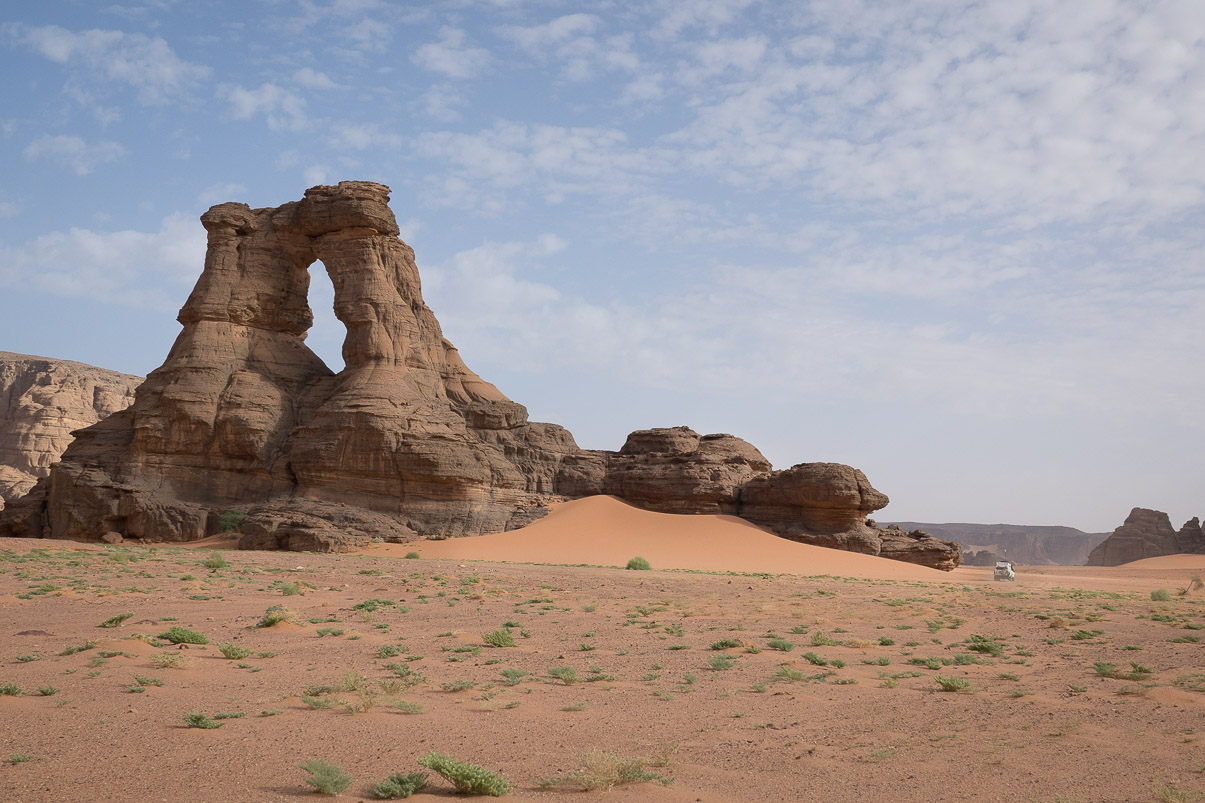 Algerie 2019
