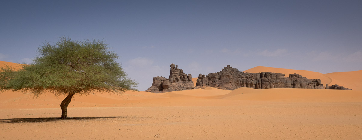 Algerie 2019