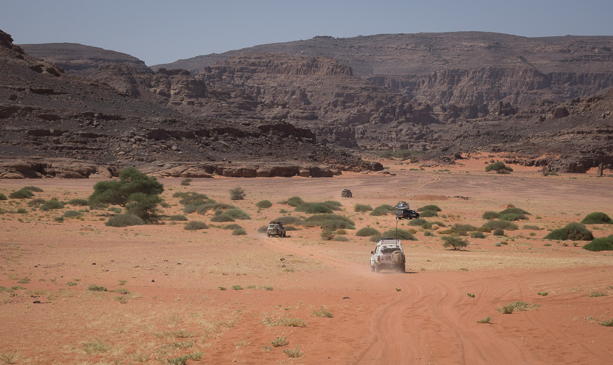 Algerie 2019