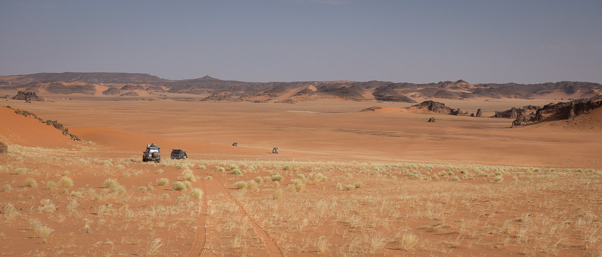 Algerie 2019
