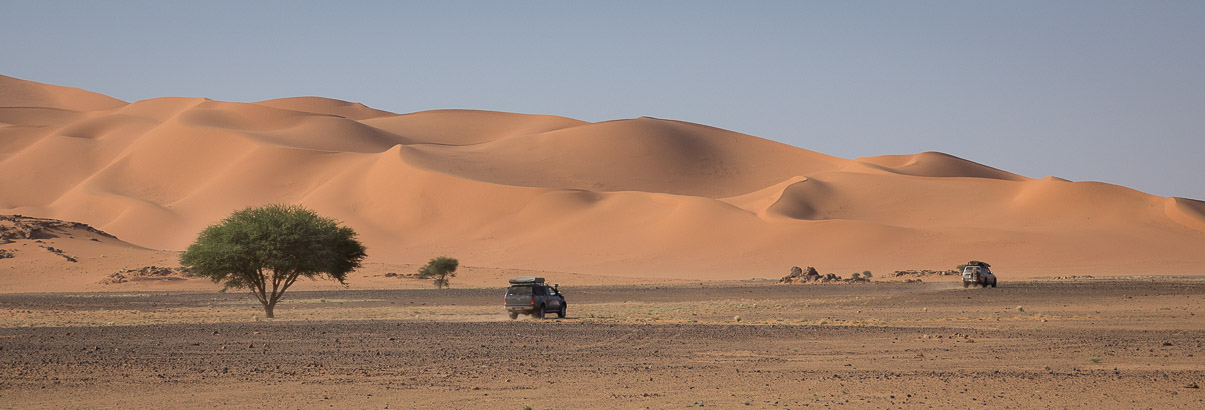 Algerie 2019