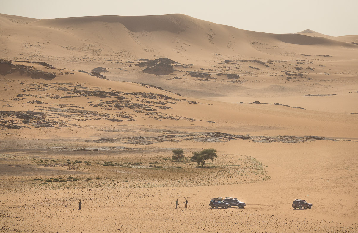 Algerie 2019