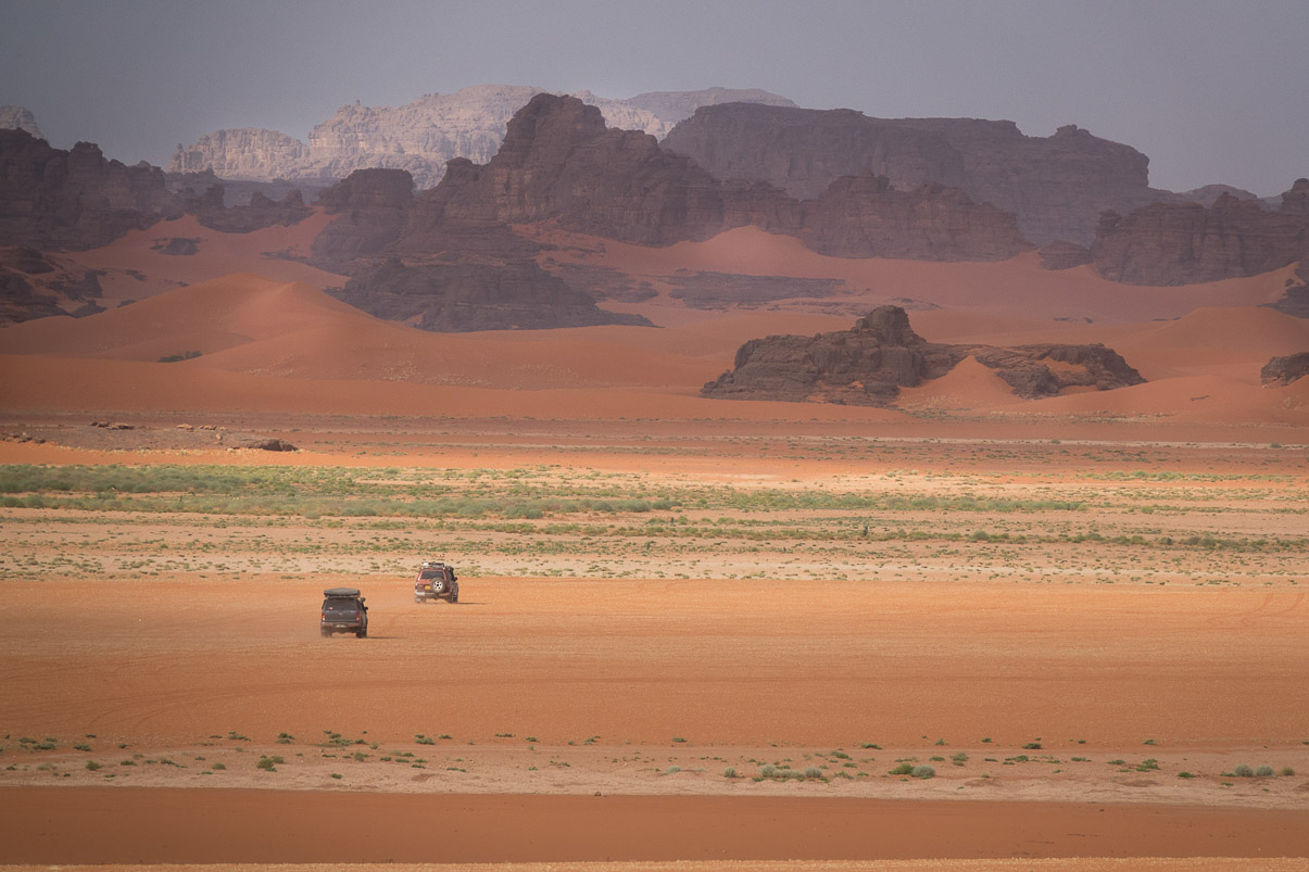 Algerie 2019