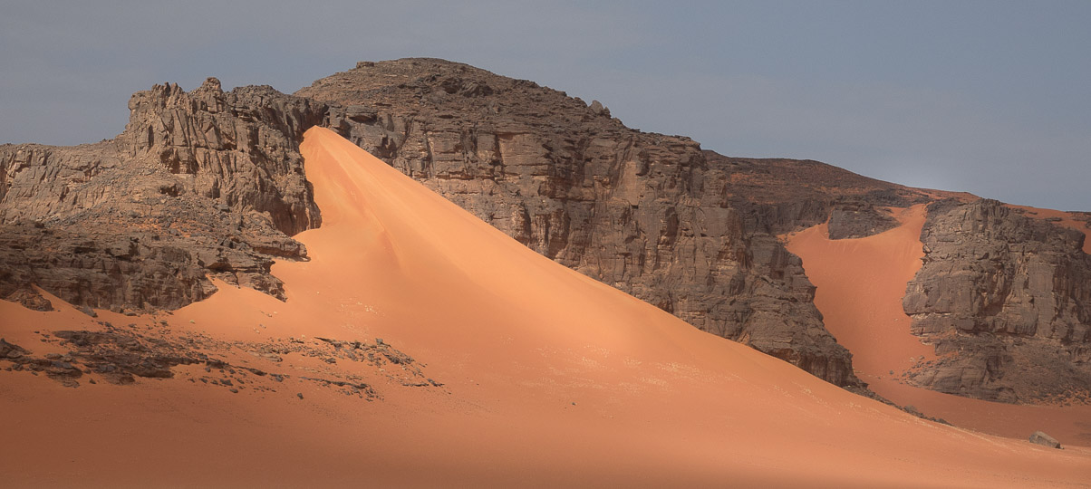 Algerie 2019
