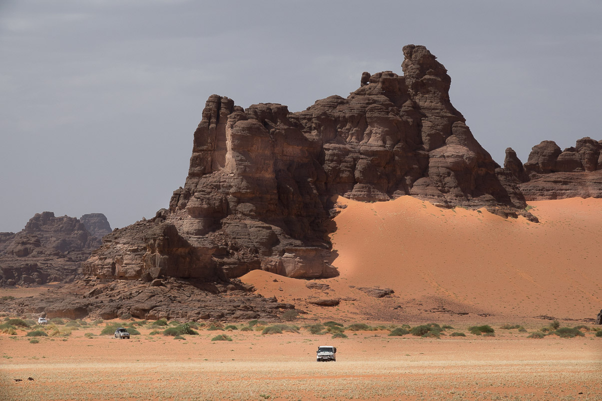 Algerie 2019