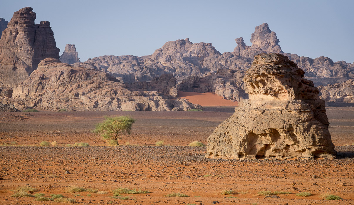 Algerie 2019