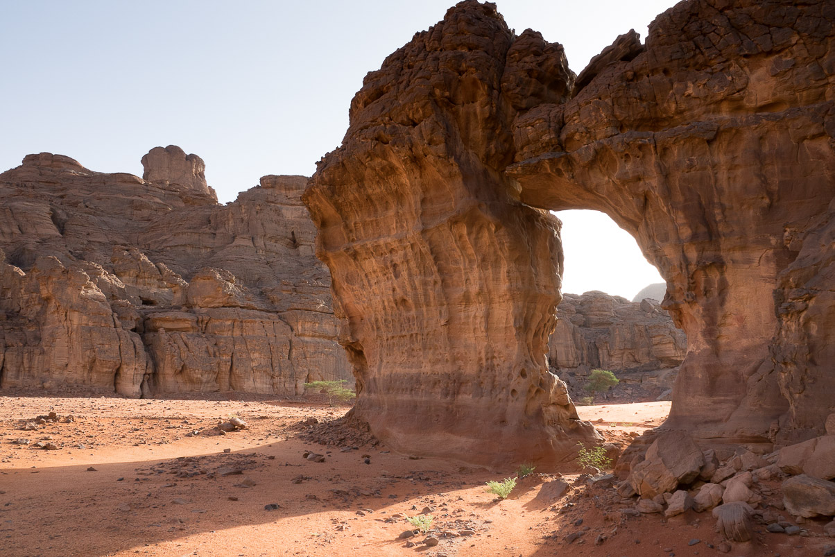 Algerie 2019
