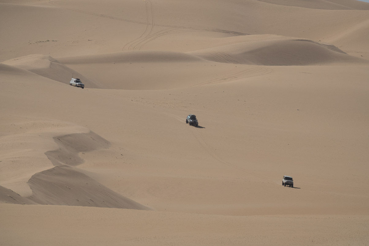 Algerie 2019