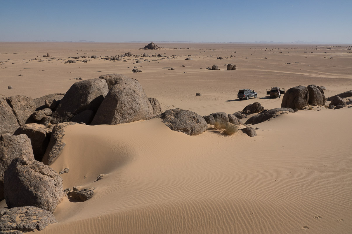 Algerie 2019