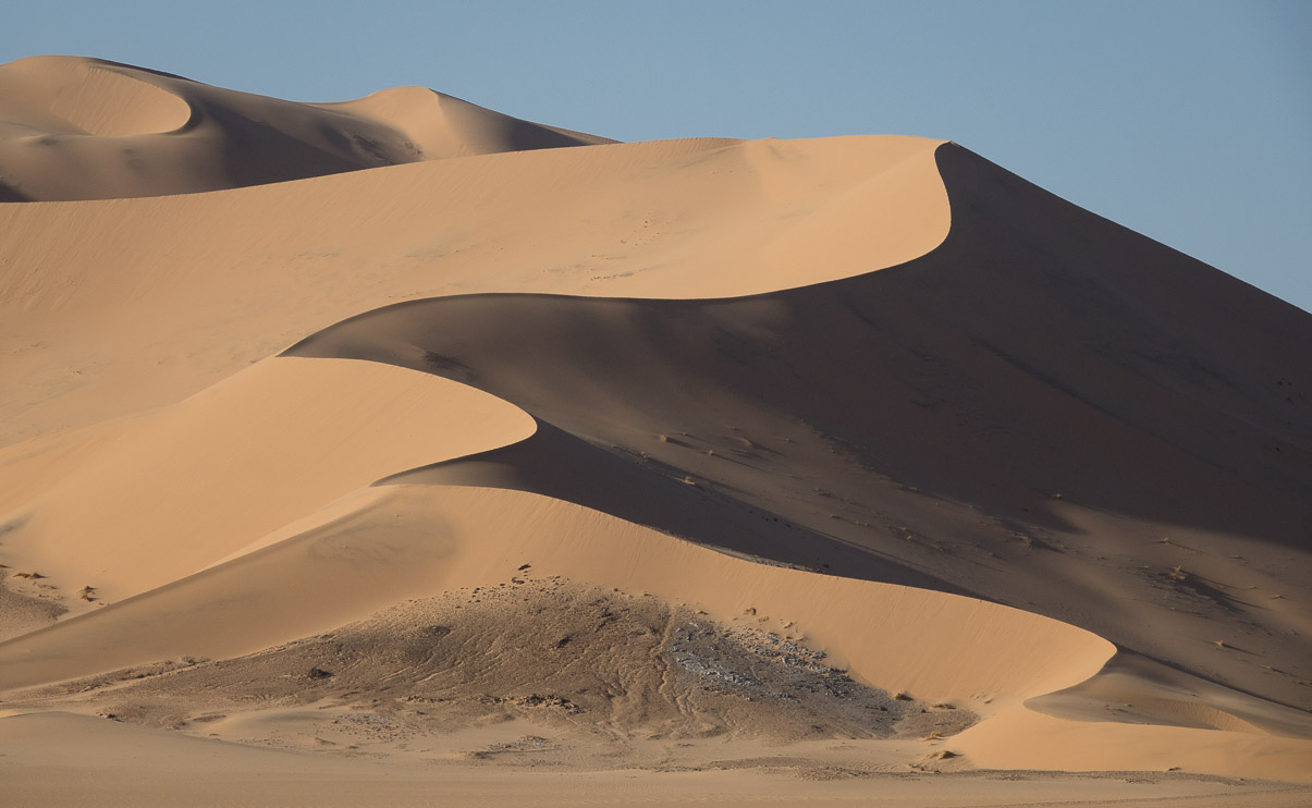 Algerie 2019