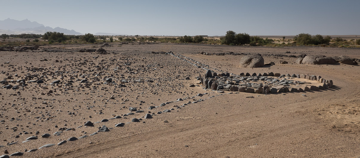 Algerie 2019