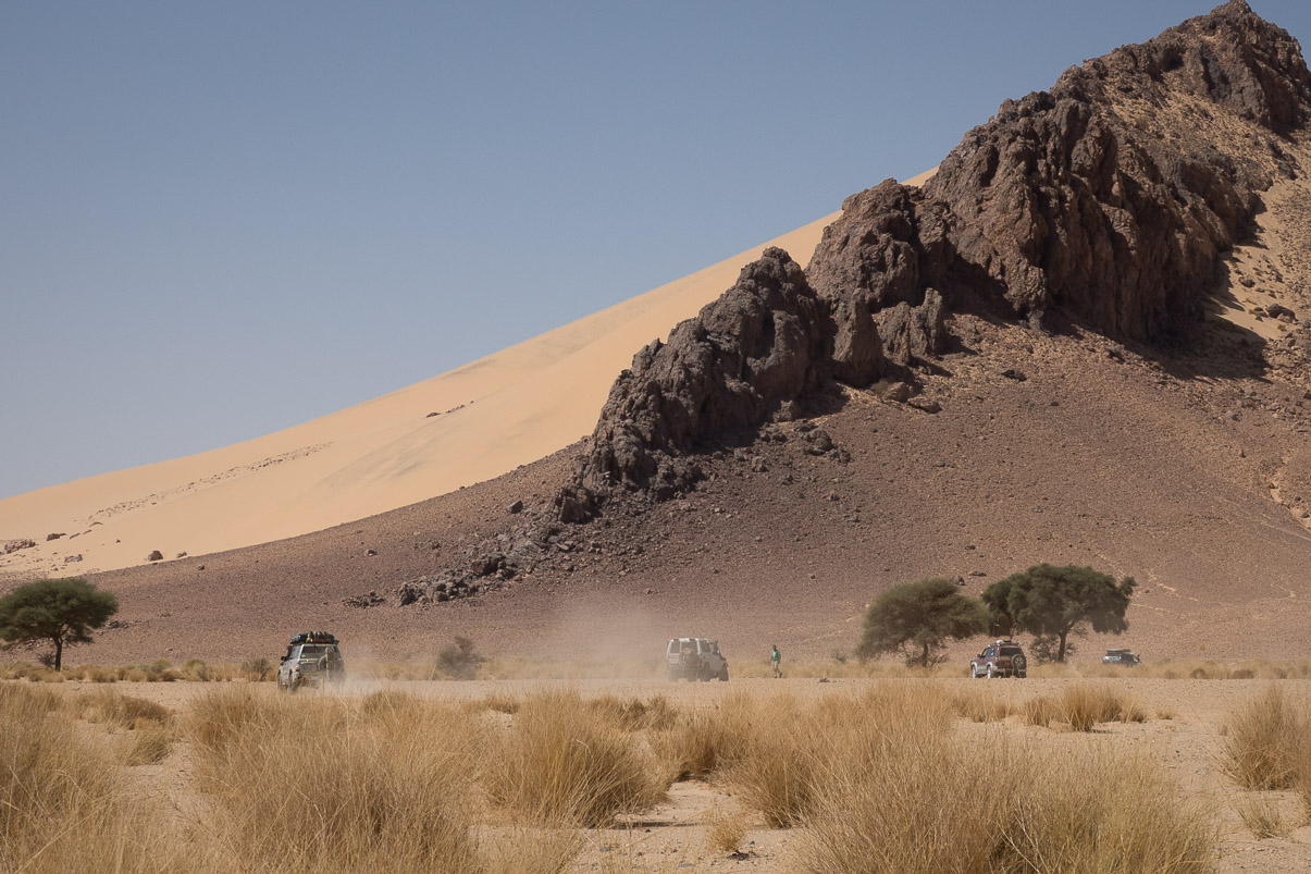Algerie 2019