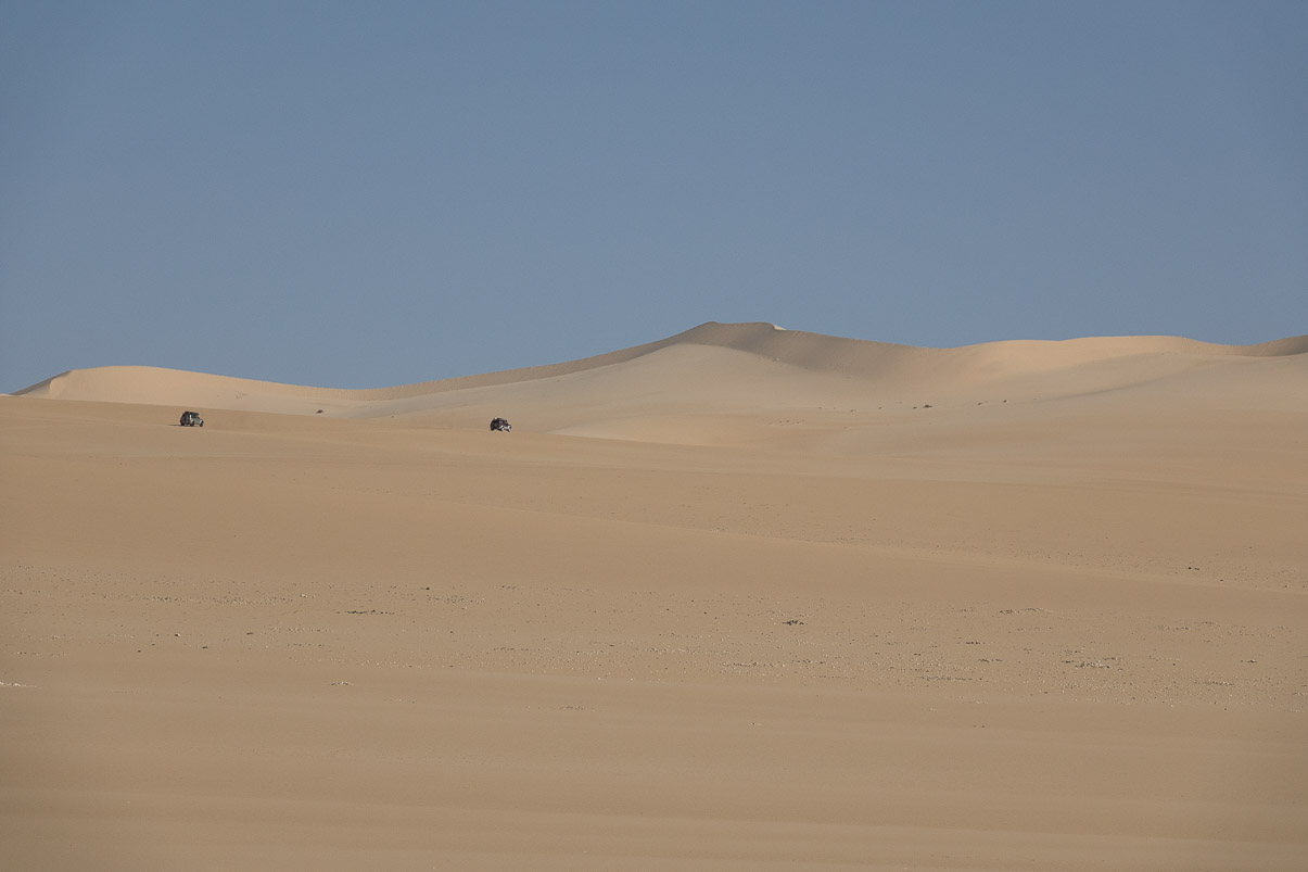 Algerie 2019