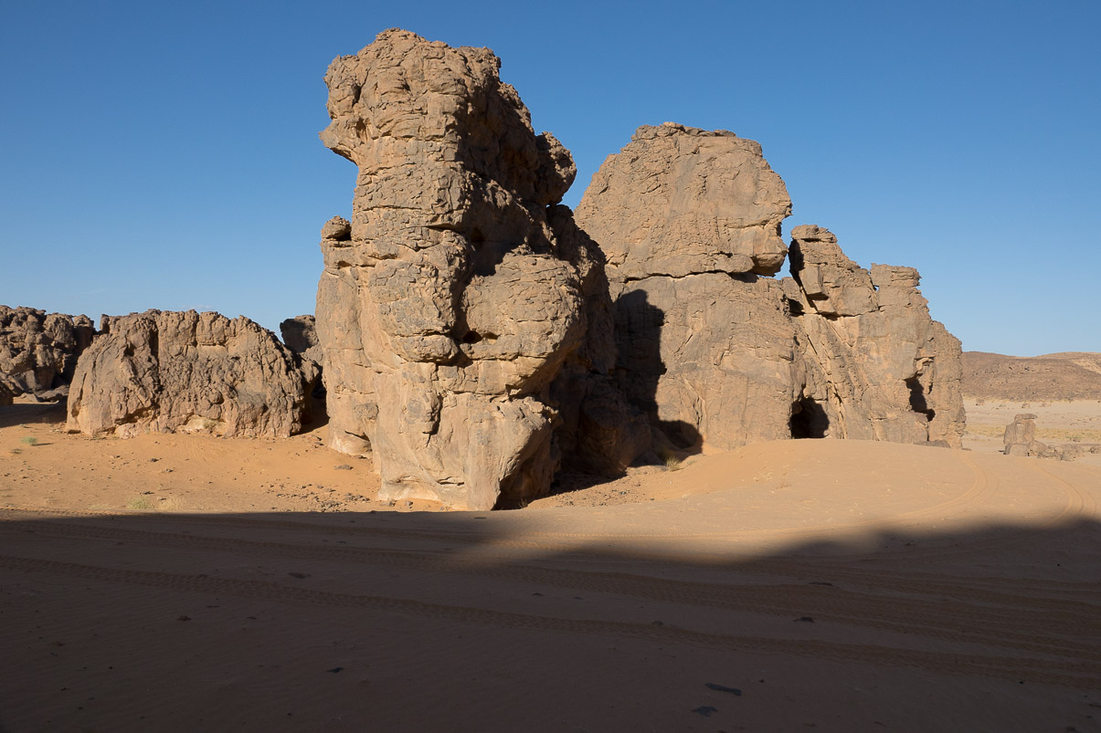 Algerie 2019