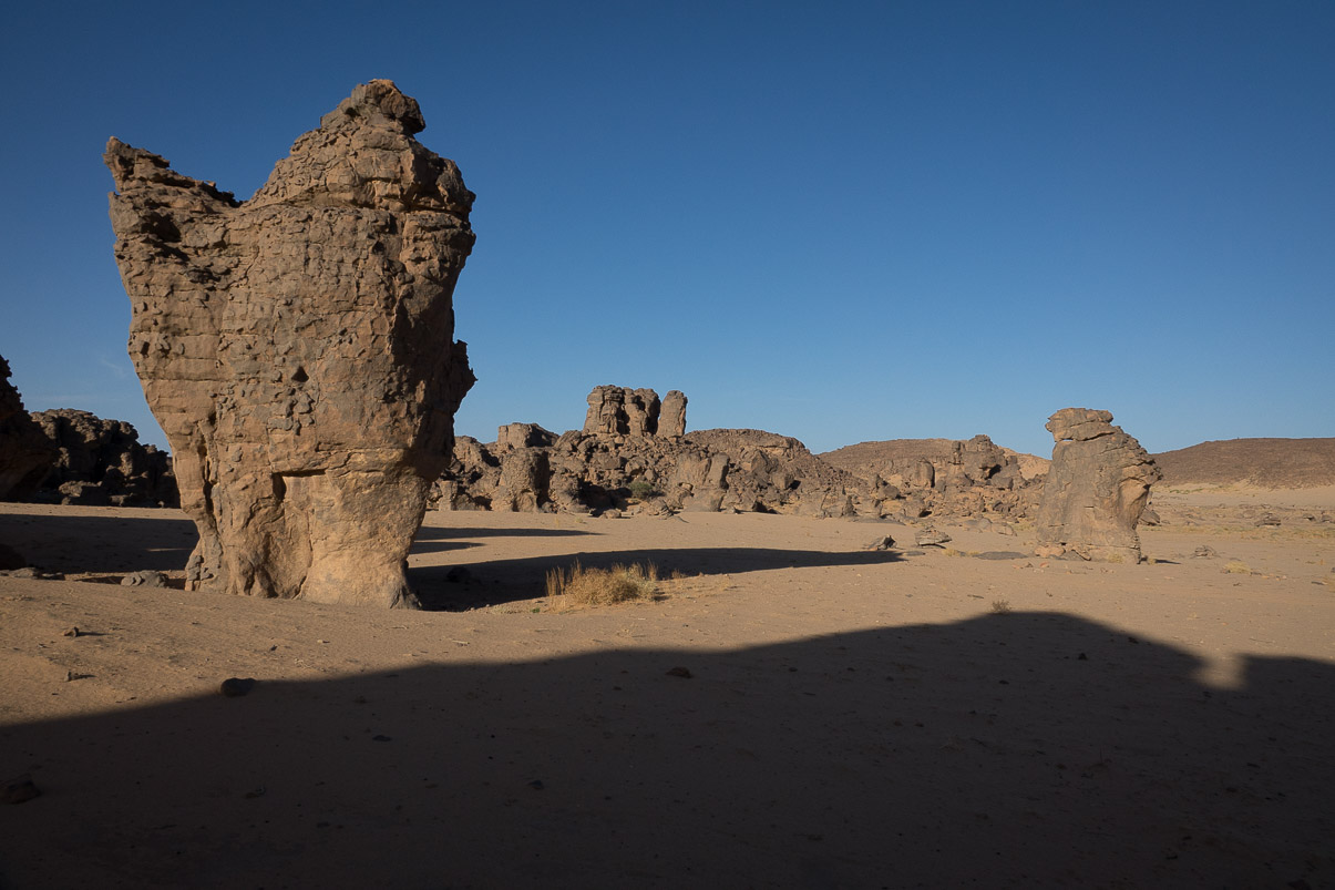 Algerie 2019