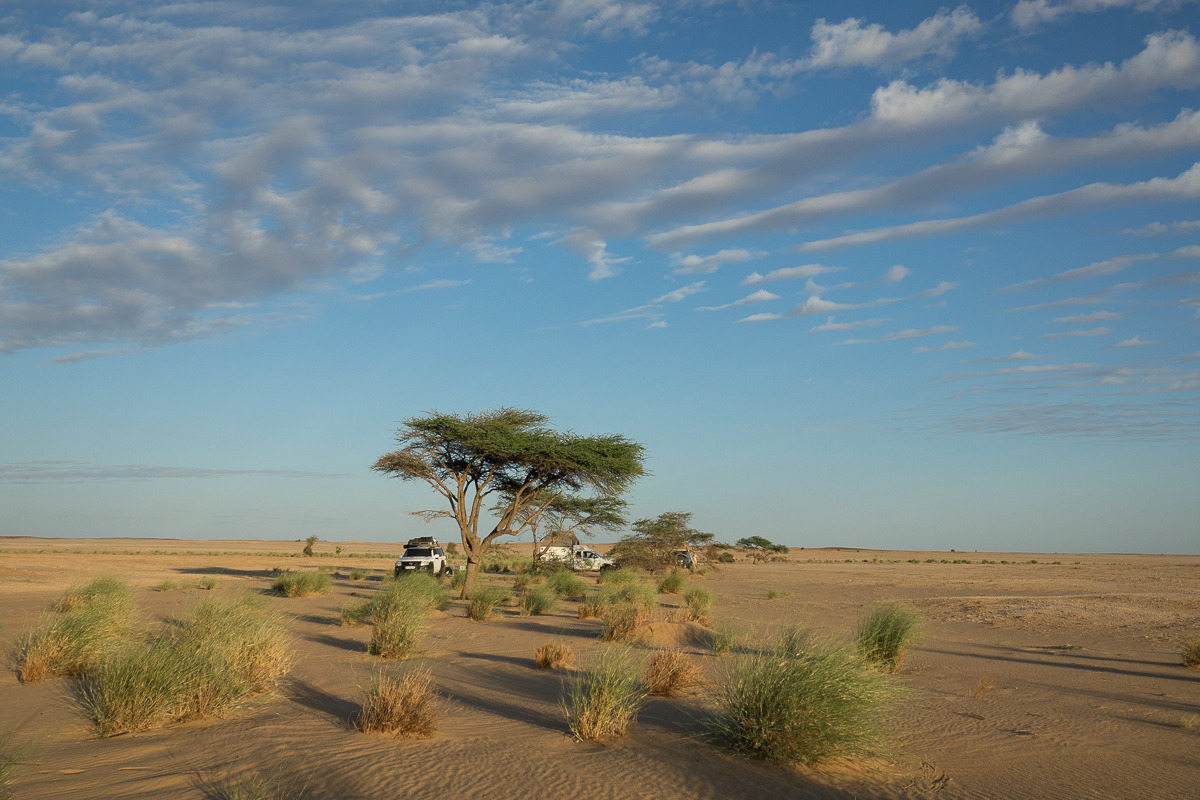 Sophie et Bernard-Nicolas-Sidi et Bouha-Fx