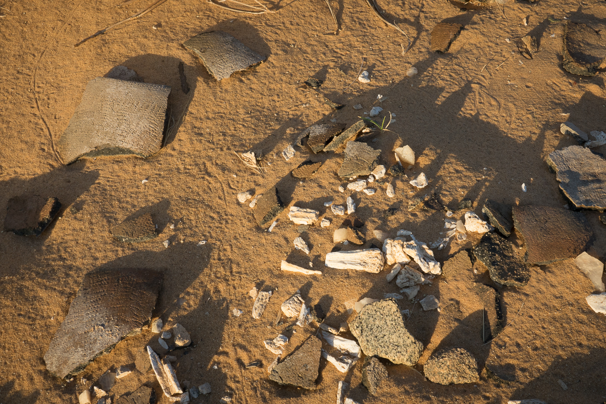 Sophie et Bernard-Nicolas-Sidi et Bouha-Fx