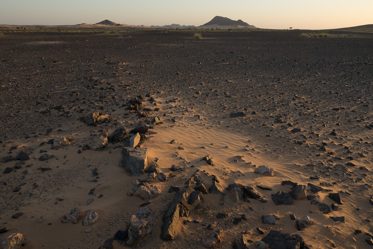 Sophie et Bernard-Nicolas-Sidi et Bouha-Fx