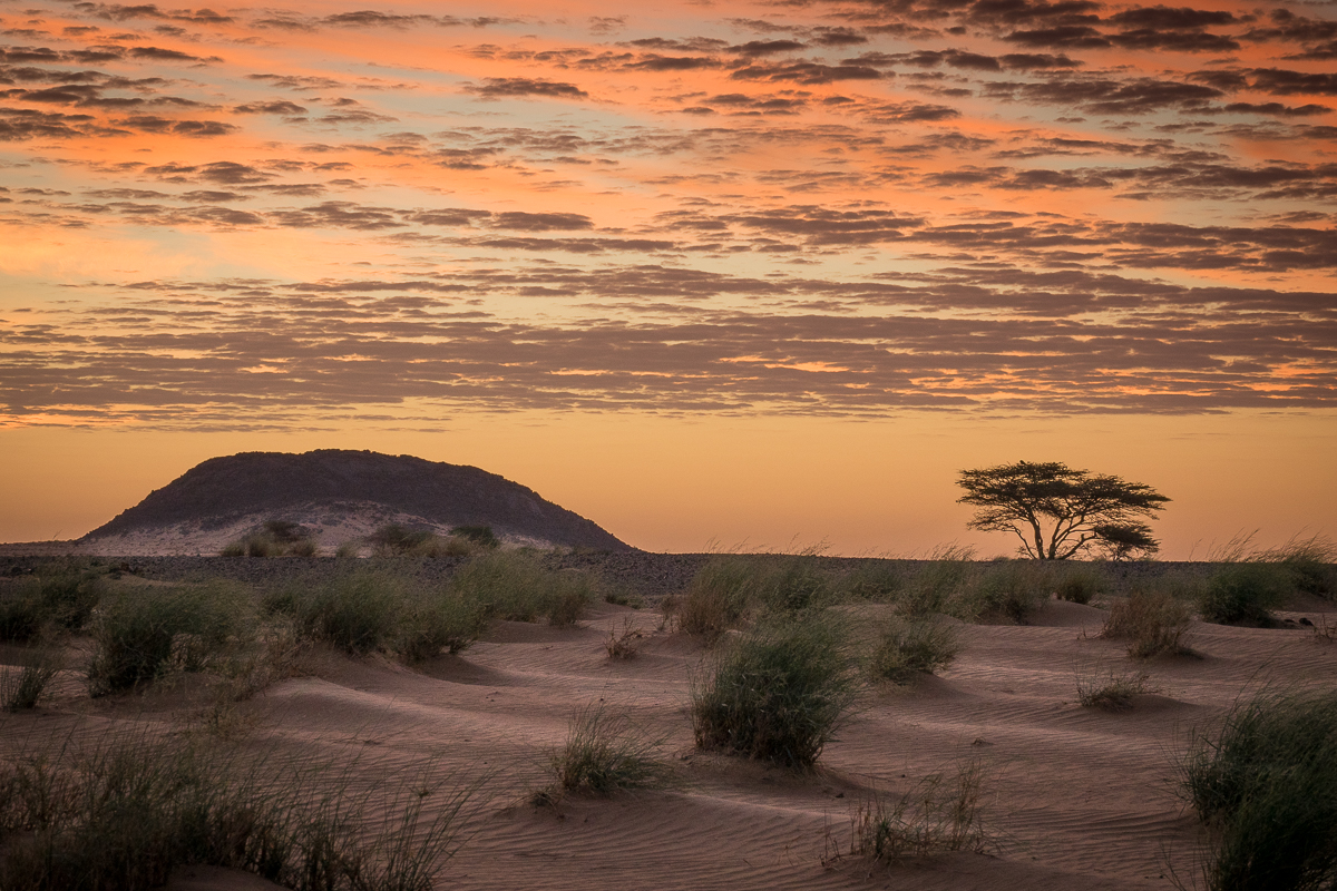 Sophie et Bernard-Nicolas-Sidi et Bouha-Fx