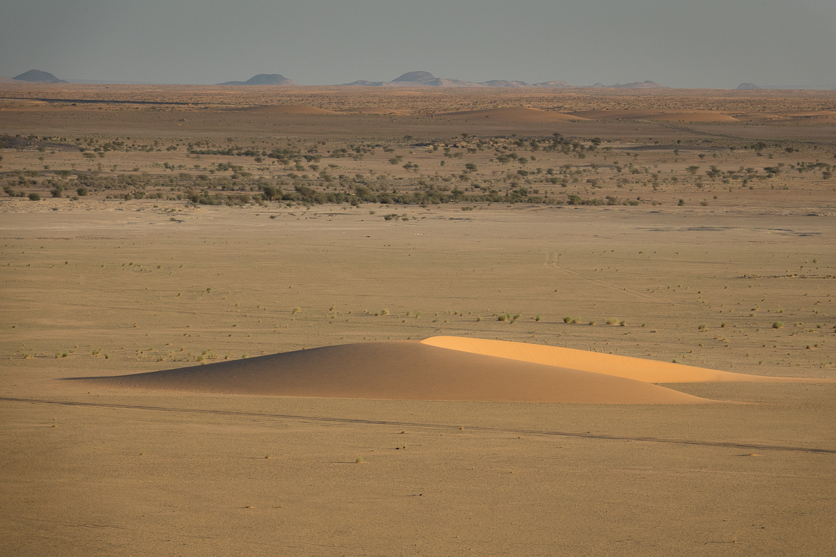 Sophie et Bernard-Nicolas-Sidi et Bouha-Fx
