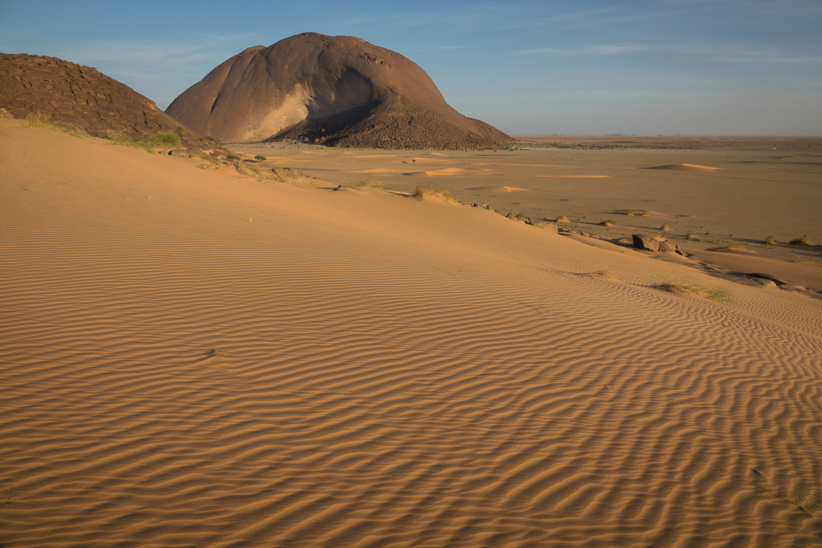 Sophie et Bernard-Nicolas-Sidi et Bouha-Fx