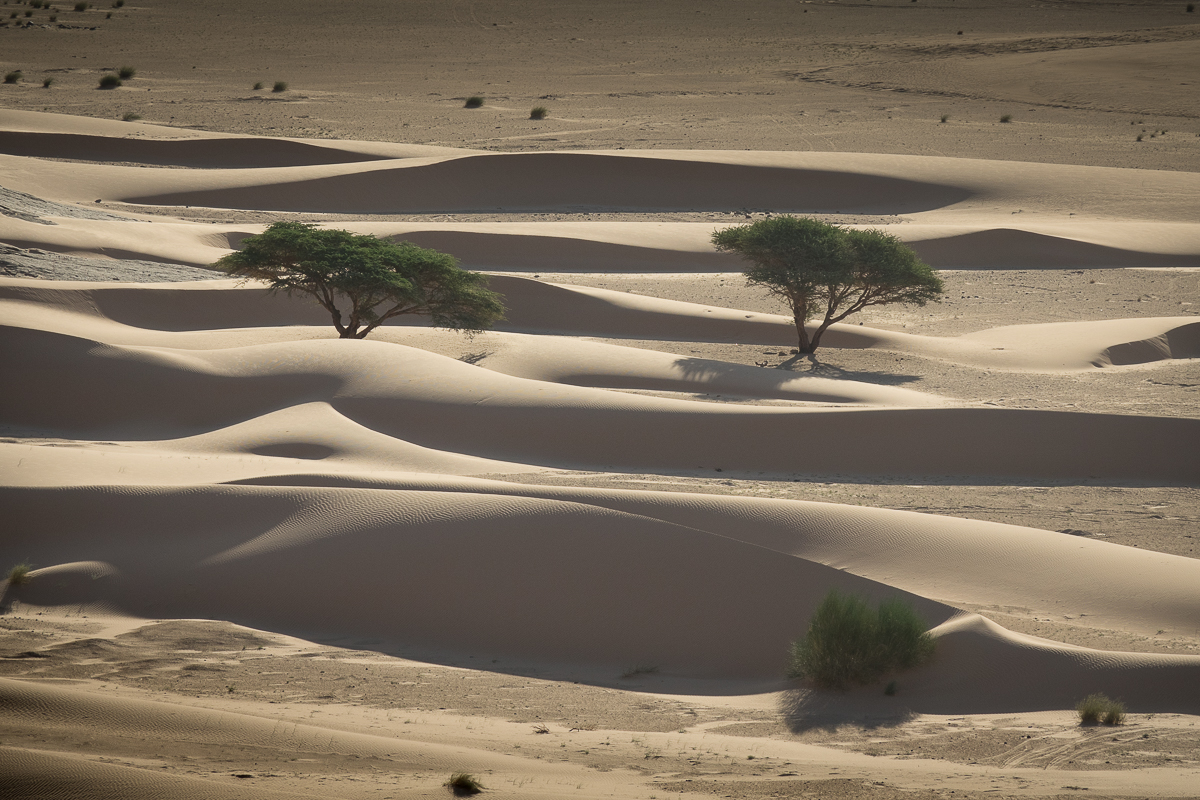 Sophie et Bernard-Nicolas-Sidi et Bouha-Fx