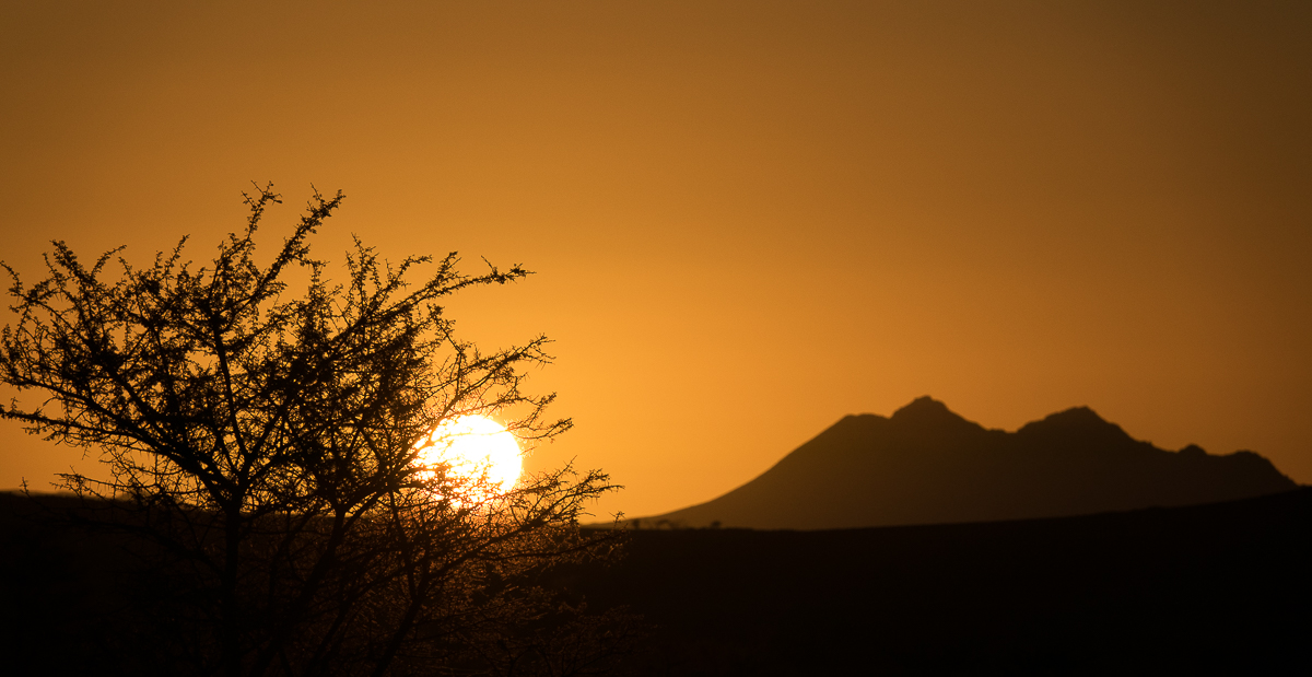 Sophie et Bernard-Nicolas-Sidi et Bouha-Fx