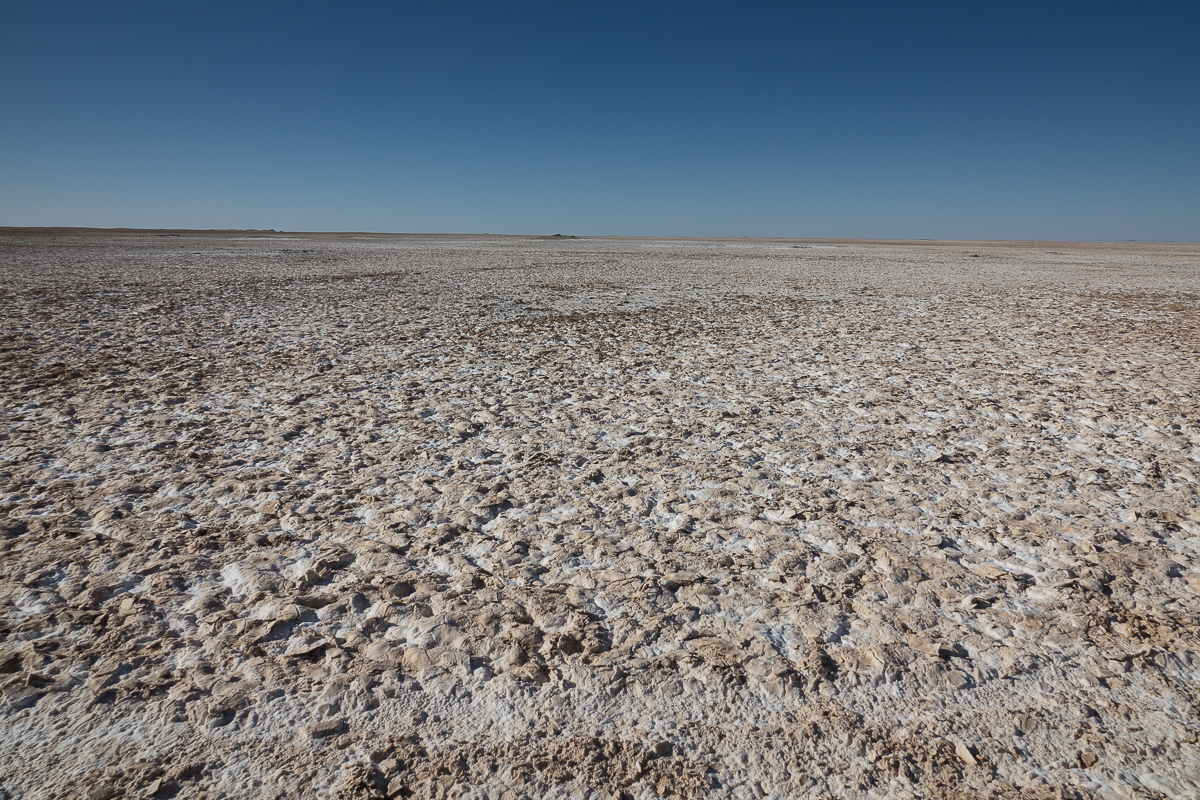 Sophie et Bernard-Nicolas-Sidi et Bouha-Fx