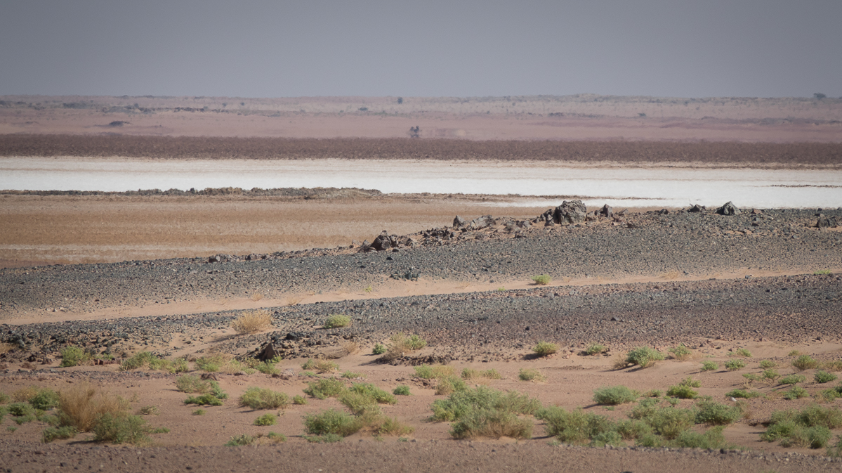 Sophie et Bernard-Nicolas-Sidi et Bouha-Fx