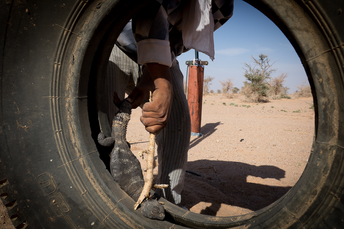 Sophie et Bernard-Nicolas-Sidi et Bouha-Fx