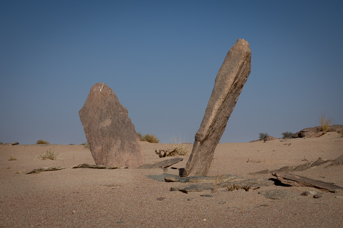 Sophie et Bernard-Nicolas-Sidi et Bouha-Fx