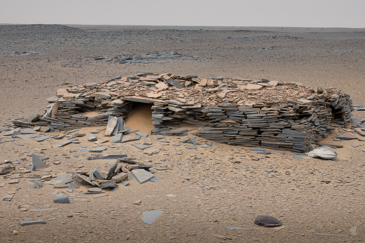 Sophie et Bernard-Nicolas-Sidi et Bouha-Fx
