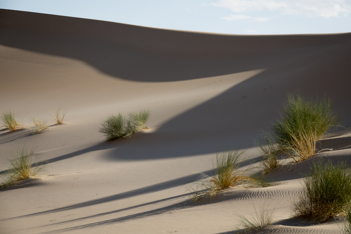 Sophie et Bernard-Nicolas-Sidi et Bouha-Fx