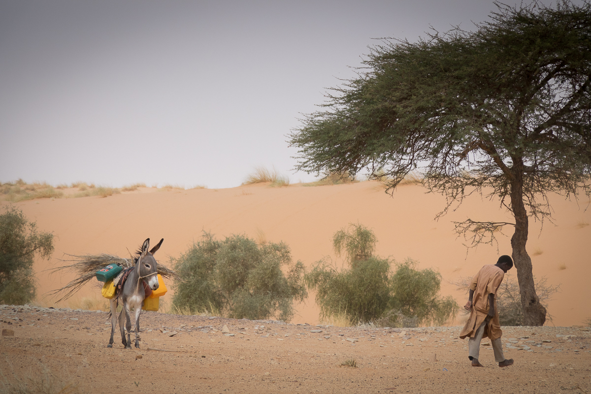 Sophie et Bernard-Nicolas-Sidi et Bouha-Fx