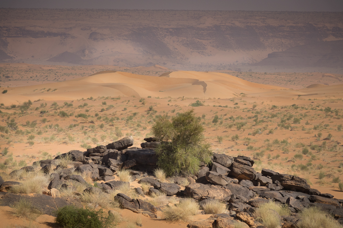 Sophie et Bernard-Nicolas-Sidi et Bouha-Fx
