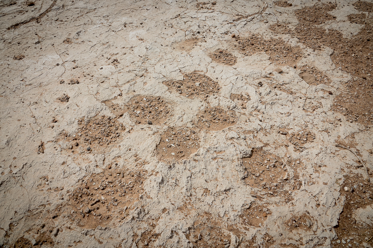 Sophie et Bernard-Nicolas-Sidi et Bouha-Fx